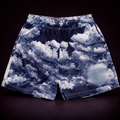 Eric 3manu3l EE Basic Shorts